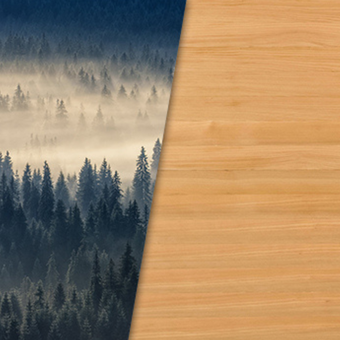 סאונת היבריד Venus מבית Holl's משלבת טכנולוגיות חימום אינפרא אדום ואדים, ומציעה חוויית סאונה מותאמת אישית. עשויה מעץ אשוח קנדי איכותי, הסאונה מצוידת בפולטי אינפרא אדום מסוג קוורץ ומגנזיום, ותנור אדים Harvia הכלול מאפשר יצירת אדים על ידי שפיכת מים על האבנים החמות. תאורת LED פנימית עם כרומותרפיה ב-7 צבעים ומערכת שמע מובנית עם חיבור Bluetooth/MP3 ורדיו FM משלימות את החוויה המרגיעה. האבזור הנלווה כולל דלי, כף, שעון חול, מדחום והיגרומטר. להשיג באתר STORENET. סאונת היבריד, סאונה אינפרא אדום, סאונת אדים, סאונה ביתית, סאונה מעץ אשוח קנדי, כרומותרפיה, מערכת שמע מובנית, תנור Harvia, אבזור סאונה, חוויית ספא ביתית, STORENET